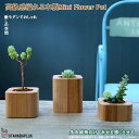 「エントリーでポイント10倍 」ミモダン 木製 ミニ 植木鉢 大きいサイズ プランター 家 ハウス 多肉植物 観葉植物 インテリア 飾り 撮影用 ホーム 部屋飾...