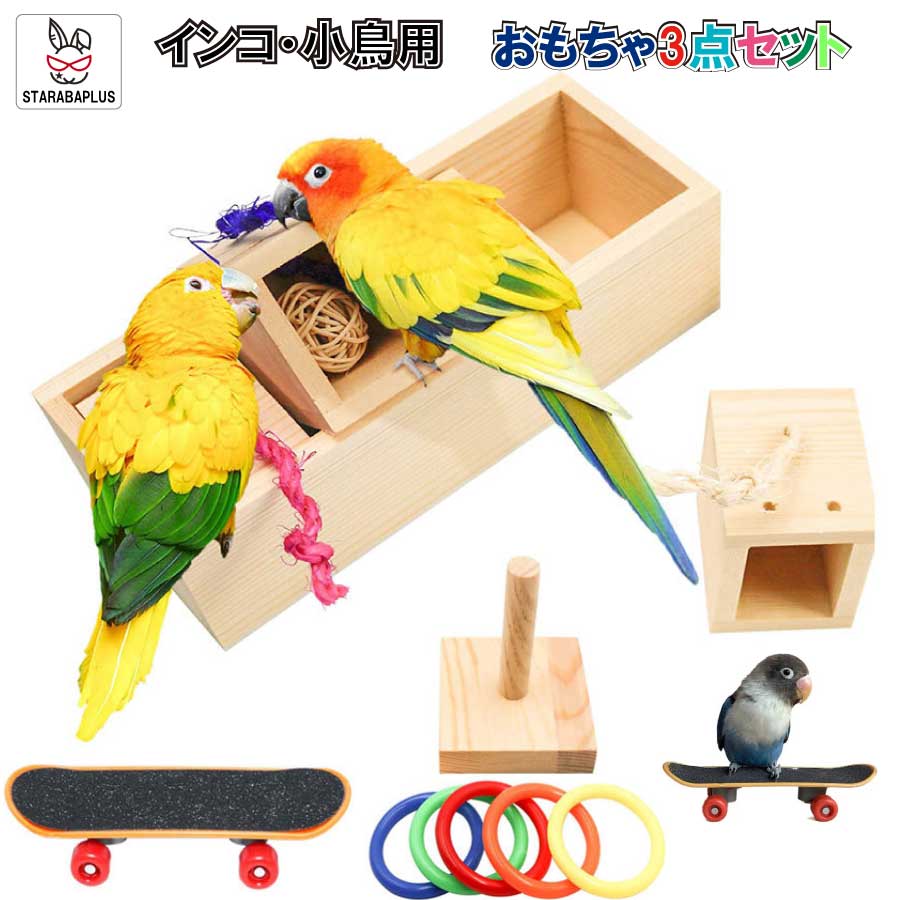 ֡ȥ꡼ǥݥ10ܡ3å Ļ    ܡ ꤲ  ؽ ͷ ȥ쥹 ư ̵