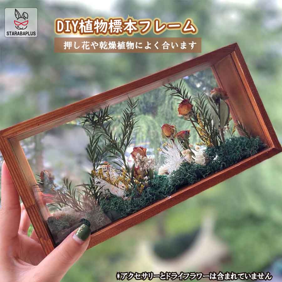 楽天市場】標本 両面 フレームの通販