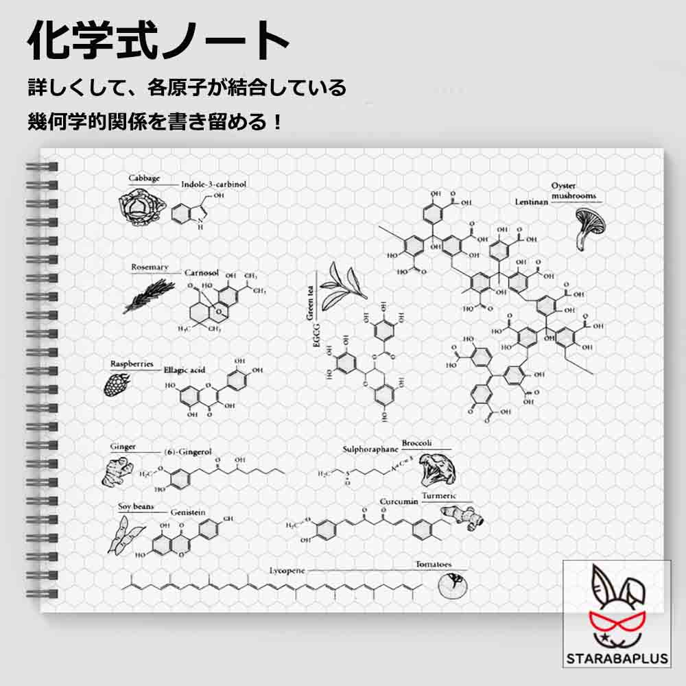 Rakuten - 【6/4〜全品ポイント10倍！】化学式ノート 構造式ノート 図式ノート 化学 分子構造ノート A4 50枚入り 送料無料