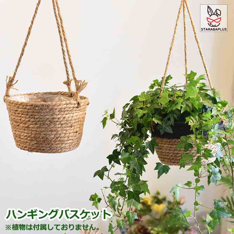 ハンギングバスケット 吊り鉢 吊り下げ 植木鉢 ハンギングプランター 観葉植物 花鉢 フラワーポット プ..