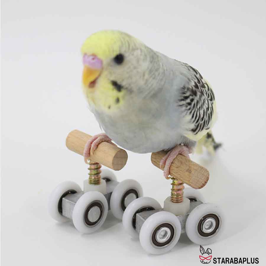 ��Ļ ���� ������ �����顼�������� ���ȥ쥹��� ���Ĥ� ���� �ؽ� ͷ�� ���ȥ쥹��� ��ư �᡼���� ����̵��