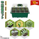 「エントリーでポイント10倍 」育苗トレイキット 湿度調整 苗 栽培 菜園 卓上型 プランター 屋内 植物 観葉植物 野菜 育てる プレゼント 送料無料