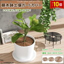 「エントリーでポイント10倍 」3サイズセット 植木鉢グリッド ガードカバー 植物ポットカバー ABSプラスチック製 植物 フラワー プロテクターキャット 犬 ...