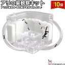 「エントリーでポイント10倍 」アリの巣 あり観察キット アリの巣観察キット アリ 巣 観察 飼育ケース 砂 自由研究 小学生 キット あり 蟻 飼育セット 実...