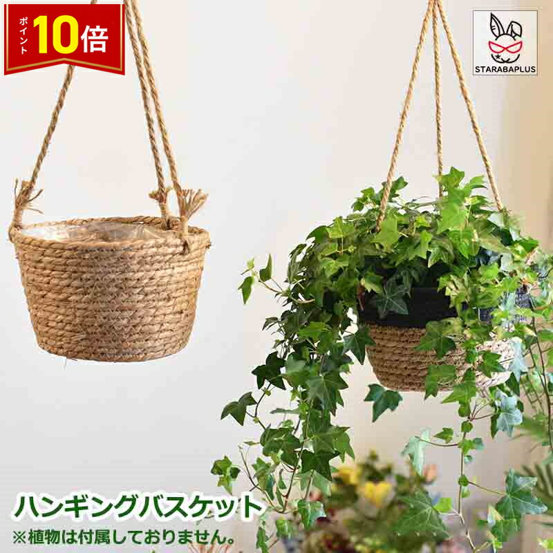 「★エントリーでポイント10倍」ハンギングバスケット 吊り鉢 吊り下げ 植木鉢 ハンギングプランター 観..
