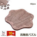 「エントリーでポイント10倍 」パズル 高難度 難しい 難解パズル 脳を活性化 木製 知育玩具 大人 ストレス発散 木製パズル 暇つぶし 時間潰し ステイホーム 家 おうち 在宅 趣味 ホビー 送料無料 ギフト 敬老の日 プレゼント 誕生日 子供 室内遊び 送料無料