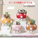 「エントリーでポイント10倍 」キノコ型植木鉢 母の日 ガーデニングオブジェ 鉢植え母の日 ガーデニングオブジェ 鉢植え 可愛い多肉植物用鉢 動物フィギュア付き...