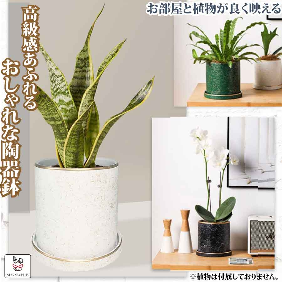 【全品対象 最大1,500円OFF】植木鉢 陶器鉢 おしゃれ 鉢植え 11cm ゴールド 円筒形 室内鉢 プランター 受け皿付き 穴あり 観葉植物鉢 蘭 多肉植物 送料無料(4.0)