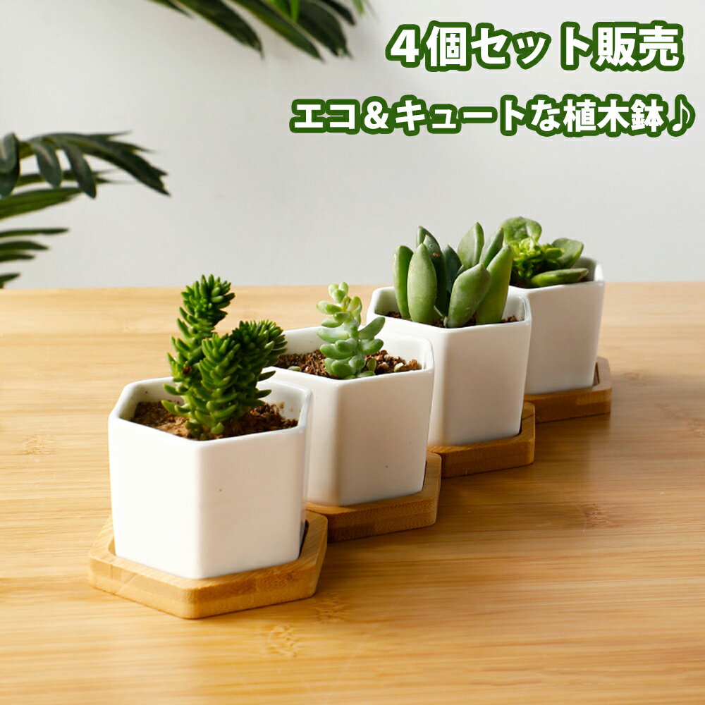 植木鉢4個セット 母の日 ガーデニング 鉢植え フラワープランター 多肉植物 観葉植物 おしゃれな 植木鉢 サボテン ミニプランター おしゃれ 可愛い 送料無料