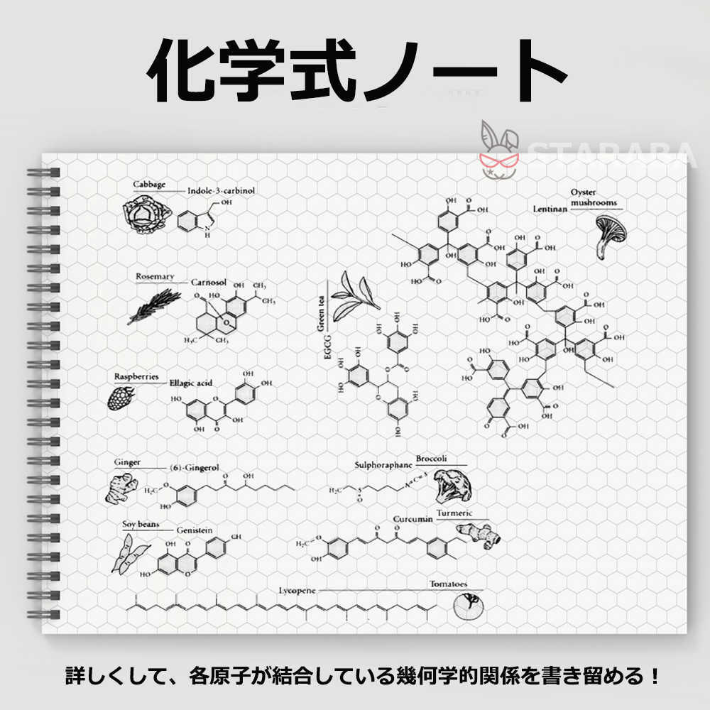Rakuten - 【スーパーSALE★P10倍】 化学式ノート 構造式ノート 図式ノート 化学 分子構造ノート A4 50枚入り 送料無料