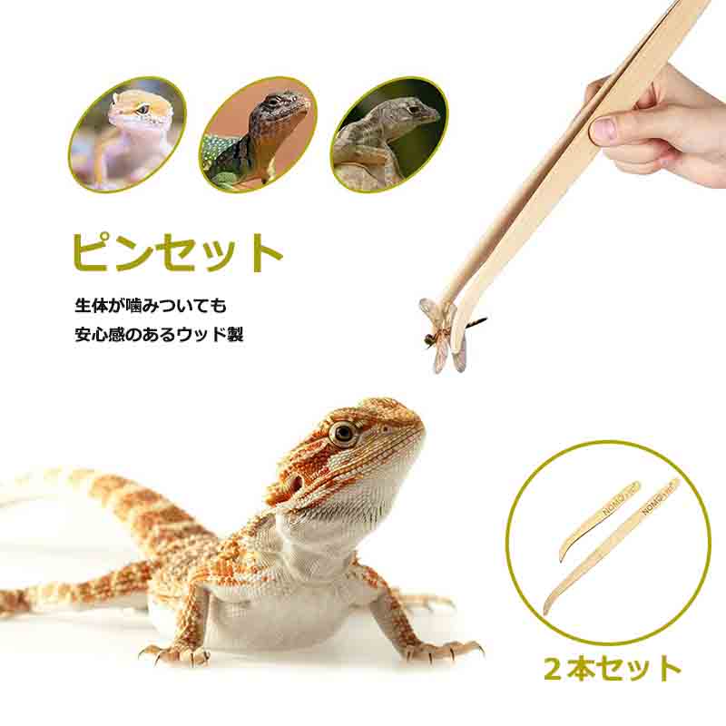 「エントリーでポイント10倍 」爬虫類 トカゲ 餌やり ピンセット2点セット 大 小 送料無料