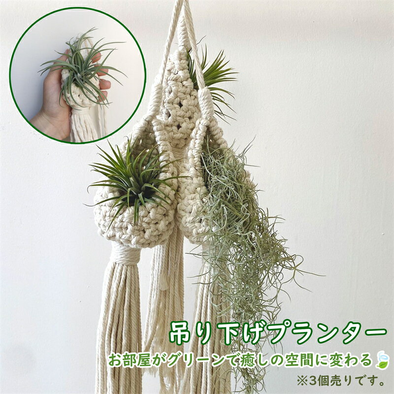 Rakuten - 【スーパーSALE★P10倍】 プラントハンガー 3個セット ハンギングプランター ボヘミアン 室内用 吊り下げプランター 観葉植物 吊り下げ マクラメ ロープ ハンドメイド ナチュラル 手編み 60cm 送料無料 ※プランターは付属してません