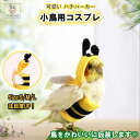 「エントリーでポイント10倍 」鳥ペットの服 オウム インコ オカメインコ かわいい 蜂 パーカー 面白い 鳥コスプレ 着用簡単 写真 小道具 クリスマス パーティー 誕生日 ハロウィーン 柔軟性 通気性 着心地良い 快適 メール便 送料無料
