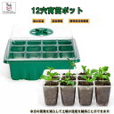 育苗トレイキット 湿度調整 苗 栽培 菜園 卓上型 プランター 屋内 植物 観葉植物 野菜 育てる プレゼント 送料無料