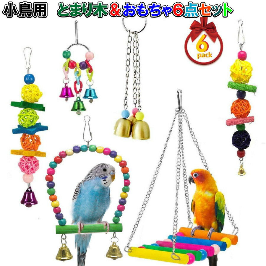 ���ץ���ȥ꡼���ݥ����10�ܡ� ��Ļ ���� ������ �Ȥޤ��� ������� 6�����å� ����ե� �߲��� ���� ��������å� ����̵��