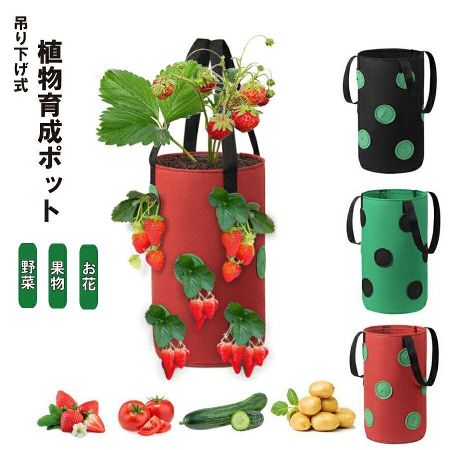 【最大1,500円OFF クーポン】 栽培ポット 吊下げ 苗 栽培 菜園 プランター 屋内 植物 観葉植物 野菜 育てる プレゼント イチゴ 送料無料