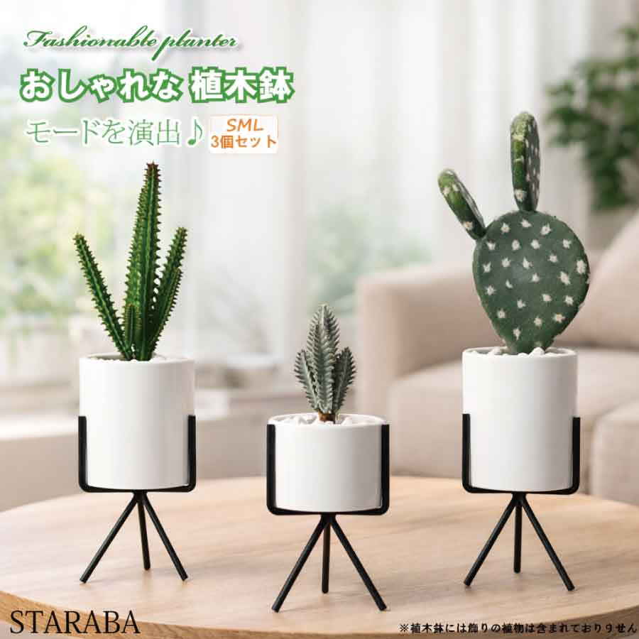 Other - 【最大1,500円OFF クーポン】円柱 3点セット 8cm おしゃれ 多肉植物鉢 サボテン鉢 陶器鉢プランター 観葉植物鉢 インテリア 陶器鉢 スタンド 室内鉢 事務室 北欧風 装飾 母の日 プレゼント ギフト 送料無料