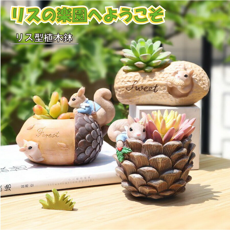 乐天商城 - 植木鉢 リス りす 母の日 ガーデニングオブジェ 鉢植え フラワープランター 多肉植物 サボテン ミニ プランター おしゃれ 可愛い 送料無料