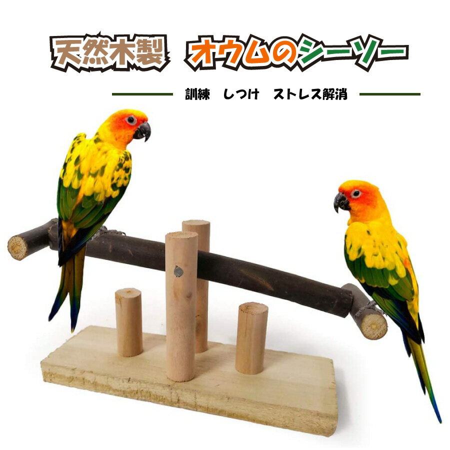 楽天STARABA小鳥 インコ オウム シーソー ストレス解消 しつけ 訓練 学習 遊び ストレス解消 運動 送料無料