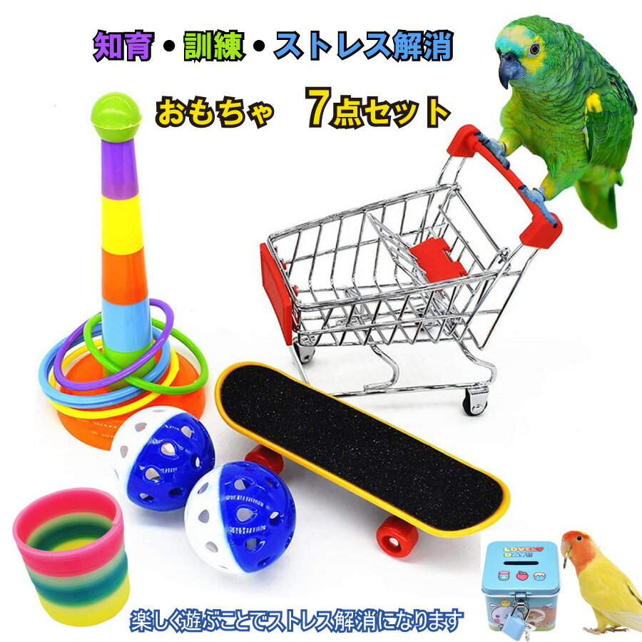 「要エントリー!★ポイント10倍」7点セット 小鳥 インコ オウム おもちゃスケボー カート 貯金箱 輪投げ ボール ストレス解消 しつけ 訓練 学習 遊び ス...