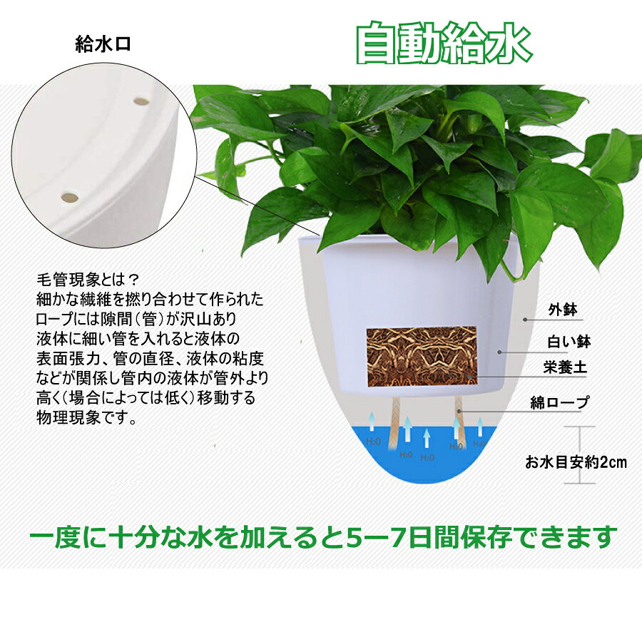 新入荷 流行 ブロックメモ ゴッホ ひまわり Pdm ミュージアムグッズ シンプル 公式通販サイト Shipsctc Org