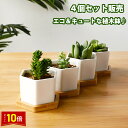 「エントリーで★ポイント10倍 」植木鉢4個セット 母の日 ガーデニング 鉢植え フラワープランター 多肉植物 観葉植物 おしゃれな 植木鉢 サボテン ミニプラ...