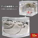 「エントリーでポイント10倍 」アリの巣 あり観察キット アリの巣観察キット アリ 巣 観察 飼育ケース 砂 自由研究 小学生 キット あり 蟻 飼育セット 実...