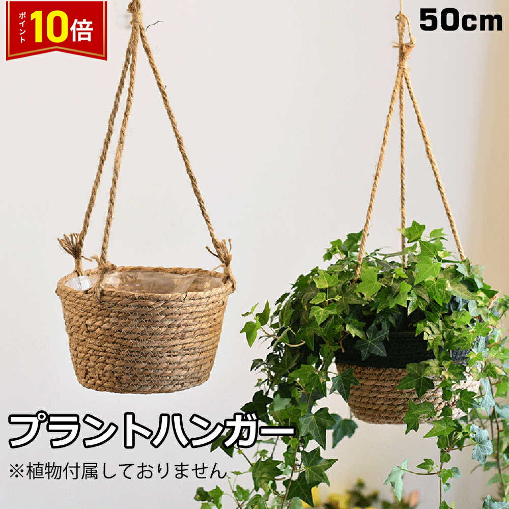 楽天市場】植木 ハンギングバスケットの通販 楽天市場】植木 ハンギングバスケットの通販