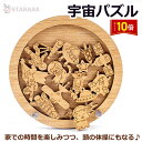 「エントリーで★ポイント10倍 」宇宙パズル 高難度パズル 難解パズル 脳を活性化 木製おしゃれ かわいい リラックスタイム 趣味 ホビー インテリア クリスマス 誕生日 プレゼント ギフト 敬老の日 誕生日 子供 室内遊び おもちゃ 知育おもちゃ 送料無料