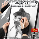 「エントリーでポイント10倍 」二本指グローブ 2本指 グローブ 手袋 絵描き お絵描き 製図 洗濯OK 触り心地 右利き 左効き 両用 手袋 2個セット 送料無料