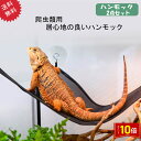 「エントリーでポイント10倍 」爬虫類 トカゲ ハンモック メッシュ 2点セット クリックポスト 送料無料