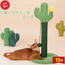 「エントリーでポイント10倍 」可愛い 猫用爪とぎ タワー サボテン キャットタワー さぼてん インテリア 爪とぎポール ストレス解消 送料無料