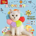 「エントリーで★ポイント10倍 」犬用 猫用イヌ ネコ キャット 術後着 術後ウェア 傷口舐め 送料無料