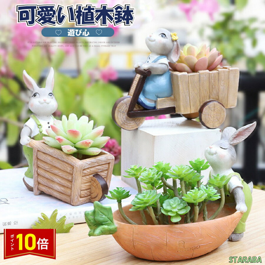 楽天市場】多肉 植物 うさぎ の(植木鉢・プランター 楽天市場】多肉 植物 うさぎ の(植木鉢・プランター