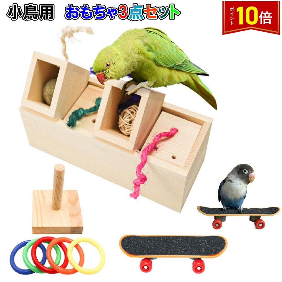 「要エントリー!★ポイント10倍」3点セット 小鳥 インコ オウム おもちゃ スケボー 輪投げ 訓練 学習 遊び ストレス解消 運動 送料無料