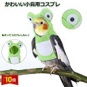 「エントリーでポイント10倍 」鳥 おもちゃ 小鳥 インコ オウム コスプレ カエル 服 プレゼント メール便 送料無料