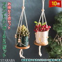 「エントリーで★ポイント10倍 」植木鉢 吊りスタンド 母の日 マクラメプラントハンガー 屋内 フラワーポット ハンギングプランター 吊り下げ 鉢 観葉植物 イ...