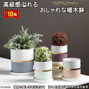 「エントリーで★ポイント10倍 」陶器鉢 植木鉢 おしゃれ 鉢植え プランター 円筒形 室内鉢 受け皿付き 穴あり 多肉植物 観葉植物鉢 送料無料