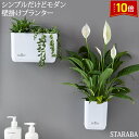 「エントリーでポイント10倍 」壁掛け プランターシンプル モダンオシャレ 装飾 リビング 寝室 玄関 撮影 キッチン 子供部屋 オフィス 送料無料