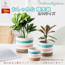 「エントリーでポイント10倍 」母の日 円柱 丸型 虹色 植木鉢 多肉鉢 飾り 陶器製 ミニ植物 多肉植物 観葉植物 サボテン フラワーポット ガーデニング お...