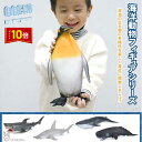 「エントリーでポイント10倍 」大型 フィギュア 海洋動物 北極動物 ホオジロザメ マッコウクジラ シュモクザメ シロナガスクジラ ペンギン インテリア リアル...