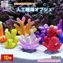 「エントリーでポイント10倍 」5個セット 人工珊瑚 アクアリウム サンゴ ミニチュア 水槽用品 オーナメント 海洋生物装飾品 風景 観賞用 小さい かわいい ...