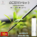 「エントリーで★ポイント10倍 」水槽用ピンセット ピンセット 長い ロング 水草トリミング アクアリウム ハーバリウム 爬虫類飼育 水草植栽 ステンレス 滑り止め カーブ 掃除 送料無料