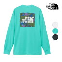 ☆【SALE】メンズ THE NORTH FACE ザ・ノース・フェイス ロングスリーブTNFバグフリーティー 品番:NT12450【10%OFF】【クーポン対象外】