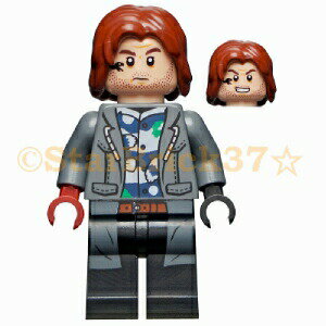�쥴 ����饷�å����ɥߥ˥ե��� �쥤�󡦥ǥ饳����[76948 etc.] LEGO �Ф����
