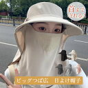 帽子 50代 ハット 春夏 レディース uvカット 紫外線カット 40代 収納 型崩れ防止 60代 秋冬 あご紐 アジャスター アウトドア 園芸