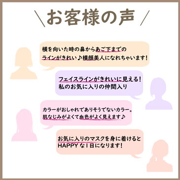 BC アースカラー 3Dマスク 36枚 (12枚入×3箱) 立体型 マスク 不織布 カラーマスク 使い捨て おしゃれ カーキ オールドローズ アイボリー ローアンバー 血色カラー 血色マスク フェイスライン 小顔効果 高級感 立体マスク 大人用マスク ギフト プレゼント 送料無料