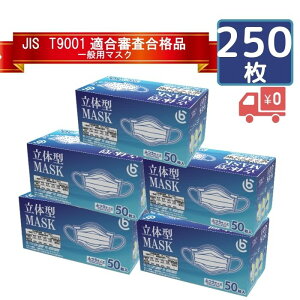 【先行予約受付中】JIS規格 マスク 不織布 一般用 250枚 (50枚入×5箱)不織布マスク プリーツ型 立体 一般用 使い捨て ホワイト 大人用マスク ふつうサイズ 衛生マスク 息がしやすい 呼吸しやすい ウイルス