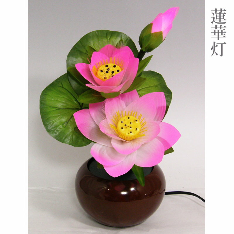 Rakuten - 盆提灯 蓮華灯 ハロゲン灯 No75 ルミナスピンク 高さ35cm [お盆 初盆 新盆 お盆用品 盆棚用品]